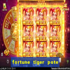 fortune tiger pote de ouro completo